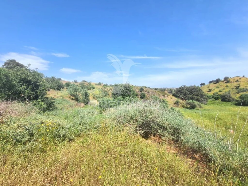 Quinta T2 para Venda em Castro Marim Foto 4