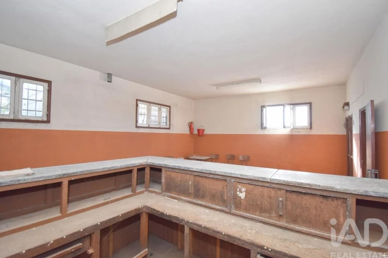 Negócio para Venda em Cumeeira Foto 9