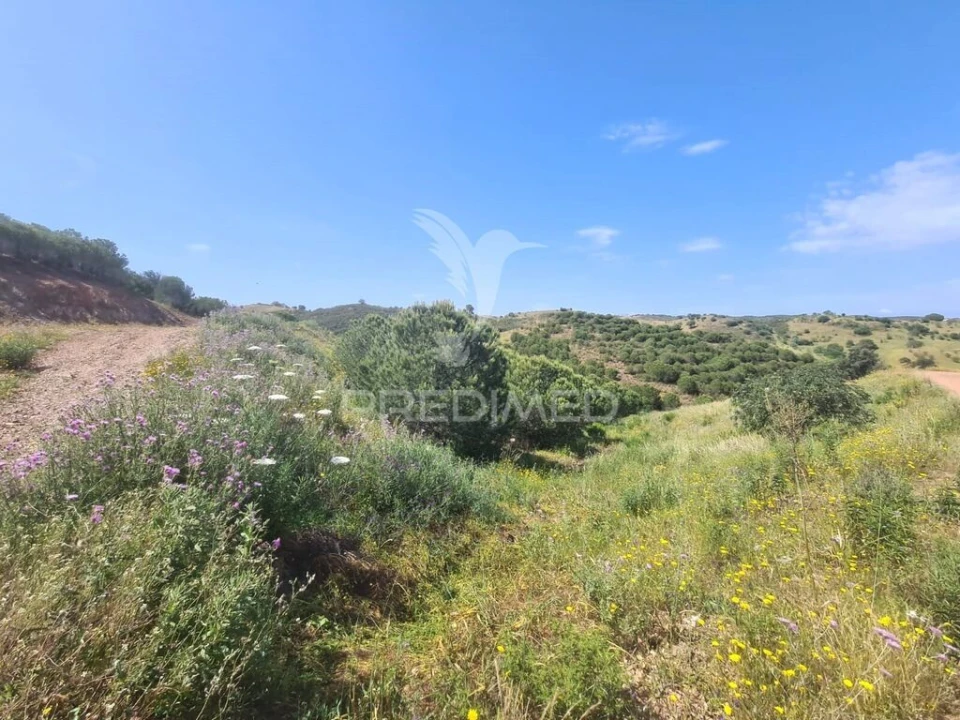 Terreno para Venda em Castro Marim Foto 2