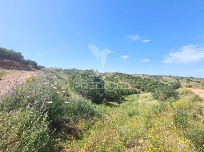 Terreno para Venda em Castro Marim Foto 9