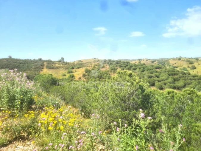 Terreno para Venda em Castro Marim Foto 10