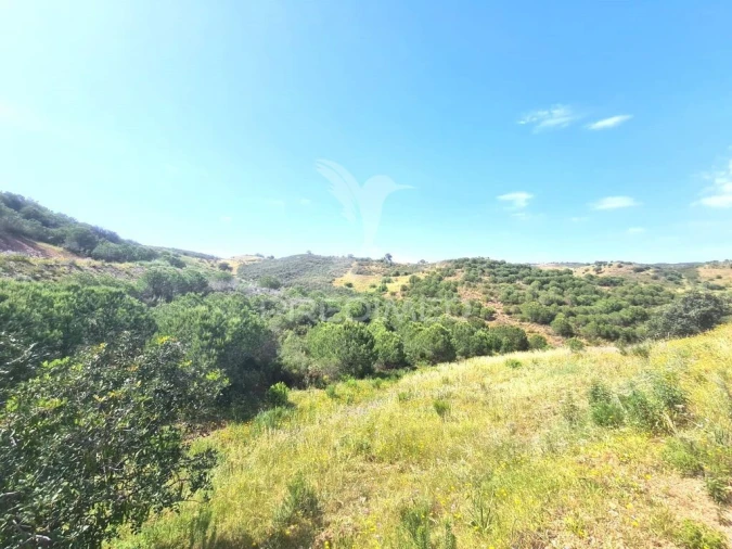 Terreno para Venda em Castro Marim Foto 7