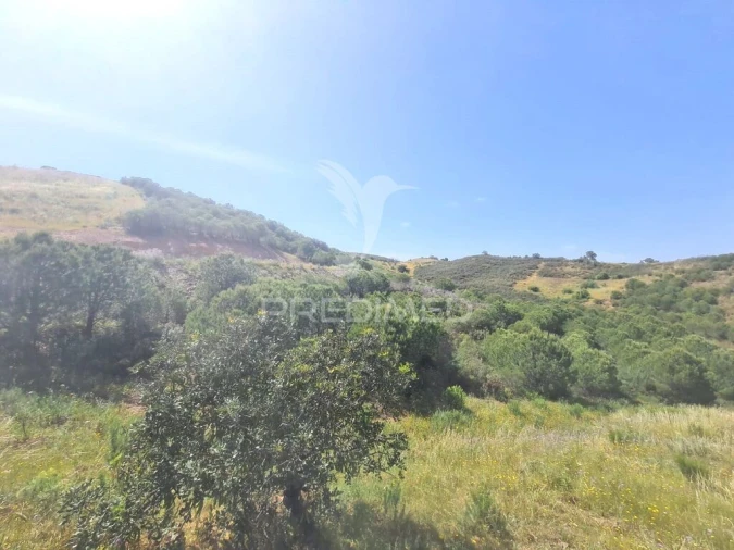Terreno para Venda em Castro Marim Foto 3