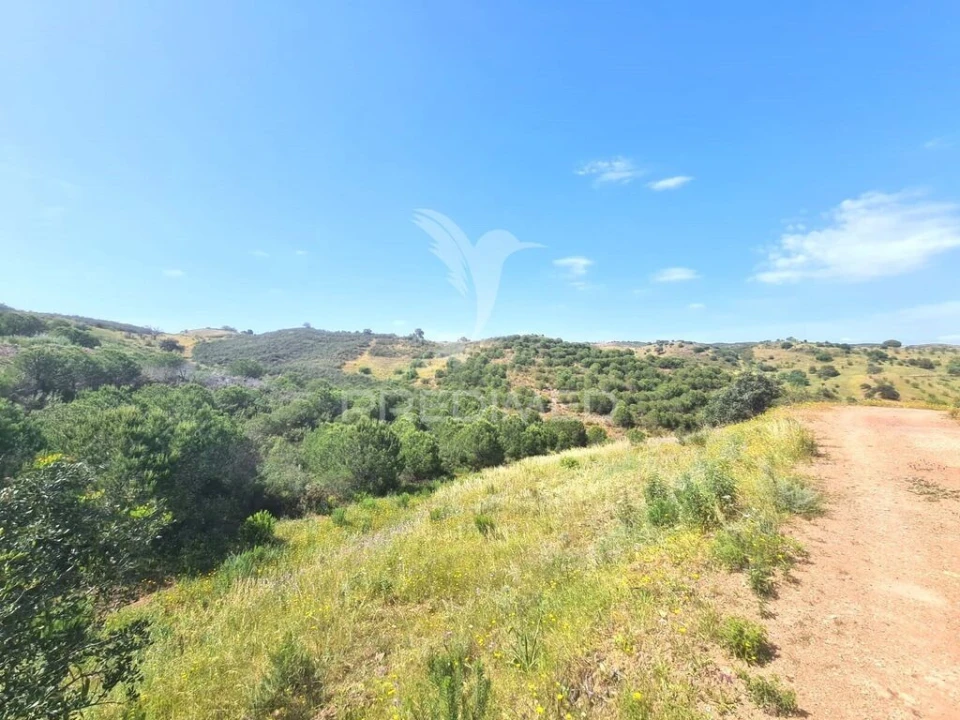 Terreno para Venda em Castro Marim Foto 5