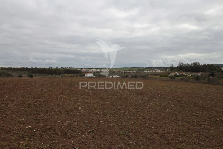 Terreno para Venda em Sousel Foto 10