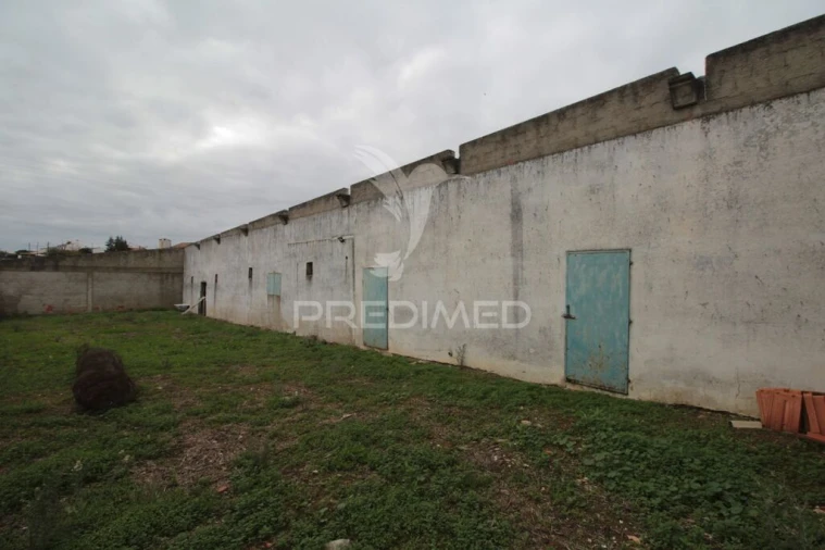 Terreno para Venda em Sousel Foto 8