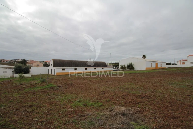 Terreno para Venda em Sousel Foto 13