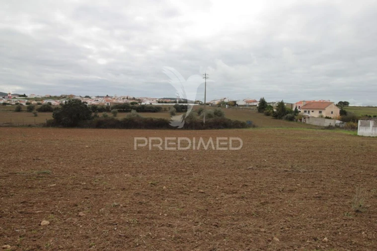 Terreno para Venda em Sousel Foto 11