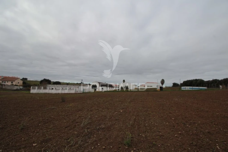 Terreno para Venda em Sousel Foto 7