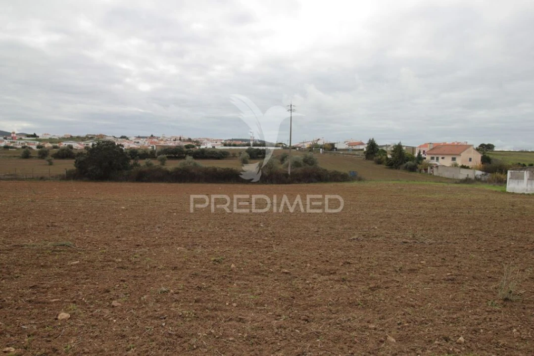 Terreno para Venda em Sousel Foto 11