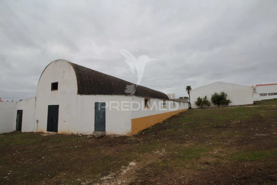 Terreno para Venda em Sousel Foto 14