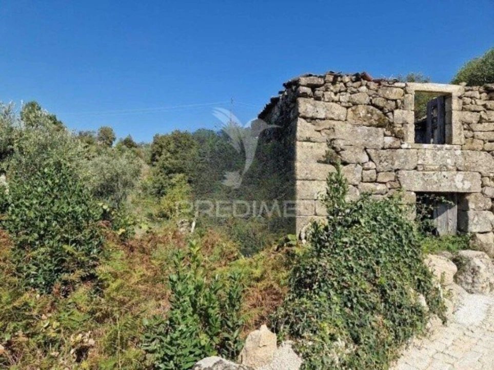 Quinta T2 para Venda em Oliveira do Douro Foto 6