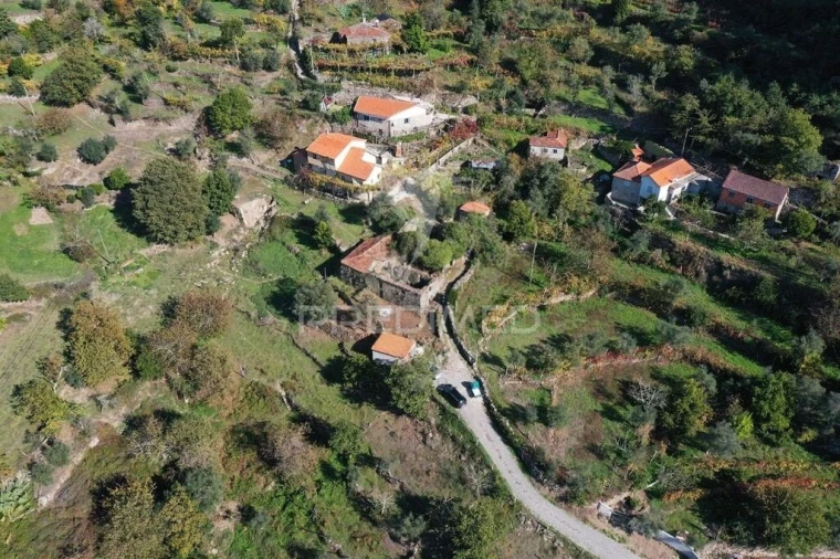 Quinta T2 para Venda em Oliveira do Douro Foto 2