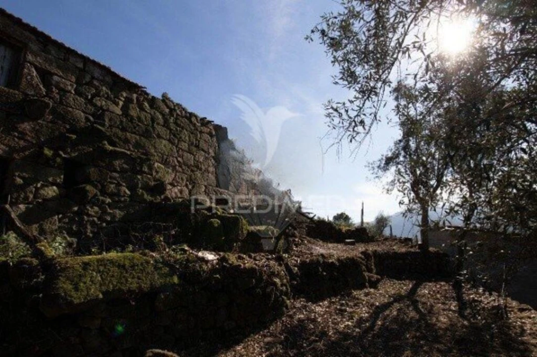 Quinta T2 para Venda em Oliveira do Douro Foto 7