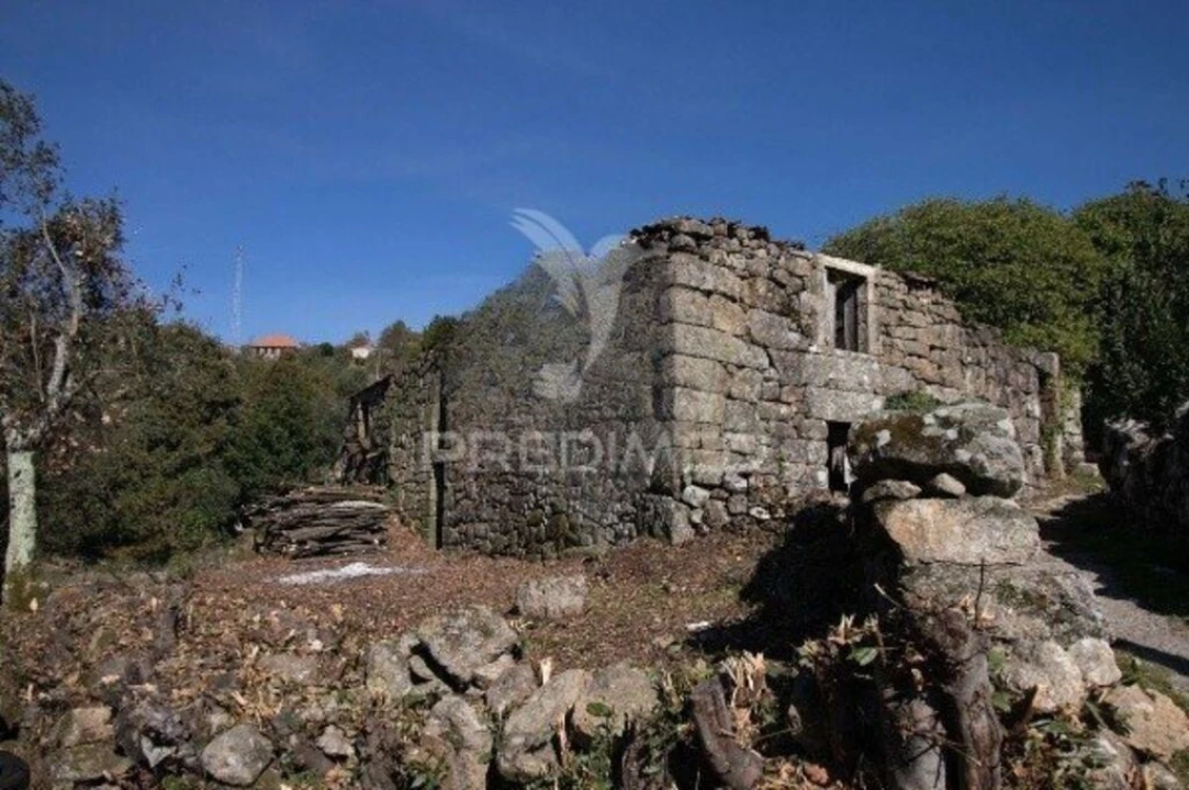 Quinta T2 para Venda em Oliveira do Douro Foto 5