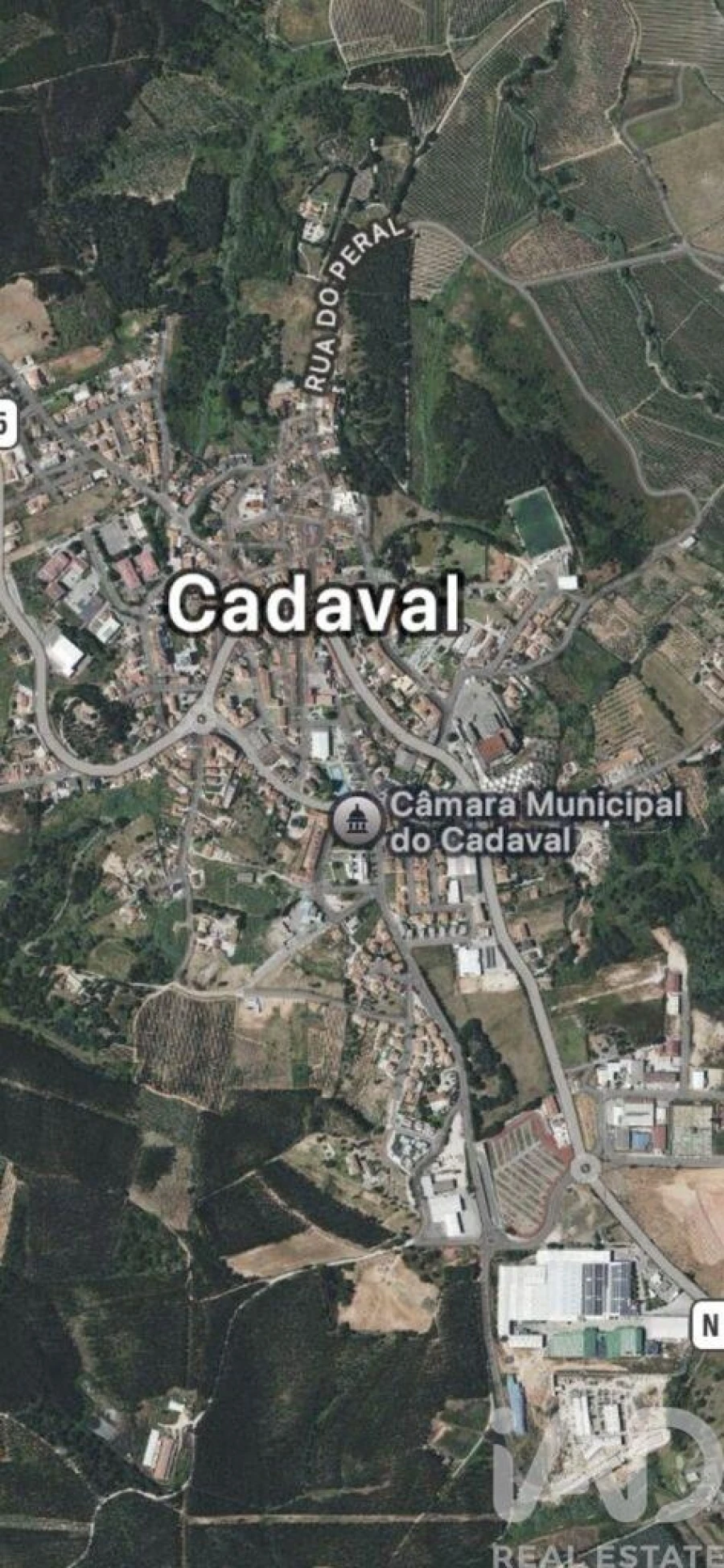 Negócio para Venda em Cadaval e Pêro Moniz Foto 1