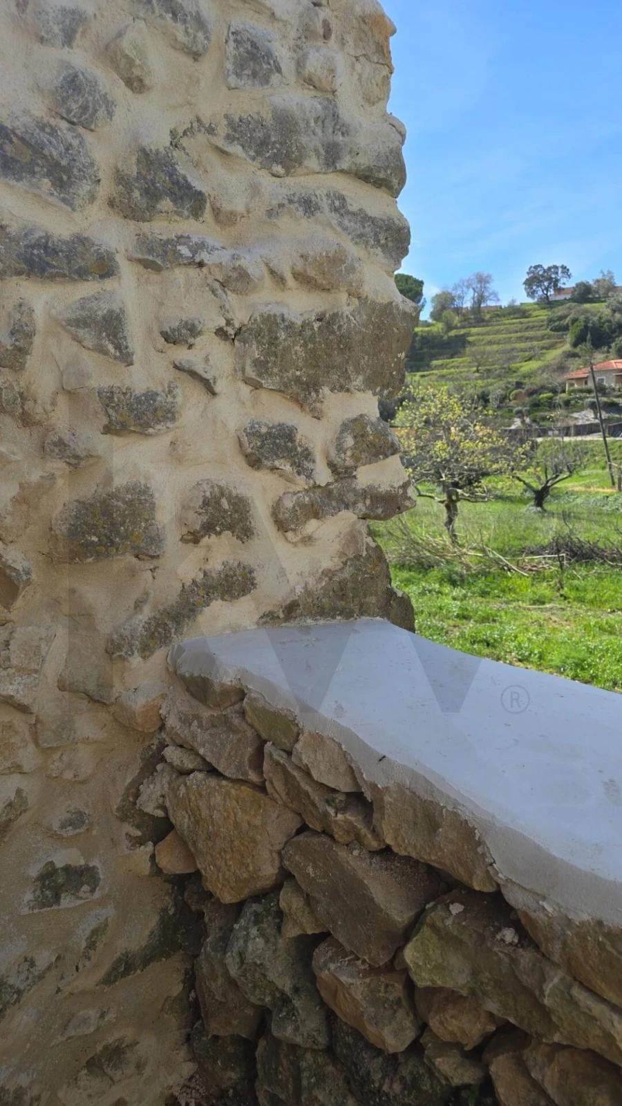 Moradia T1 para Venda em Carregueiros Foto 20