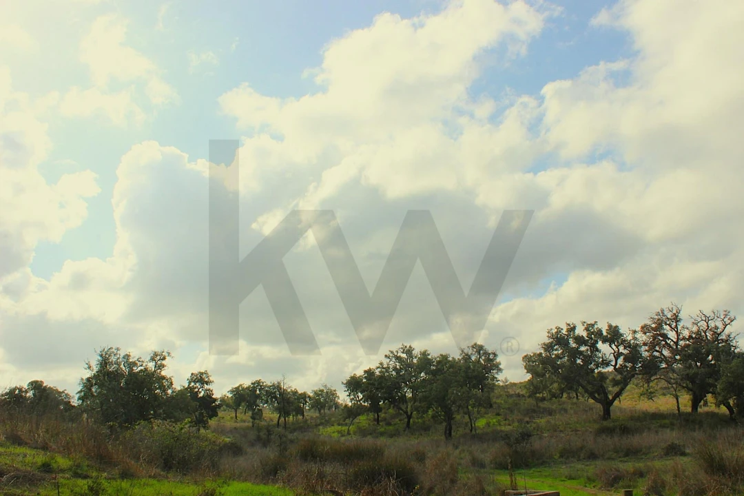 Terreno para Venda em Grândola e Santa Margarida da Serra Foto 34