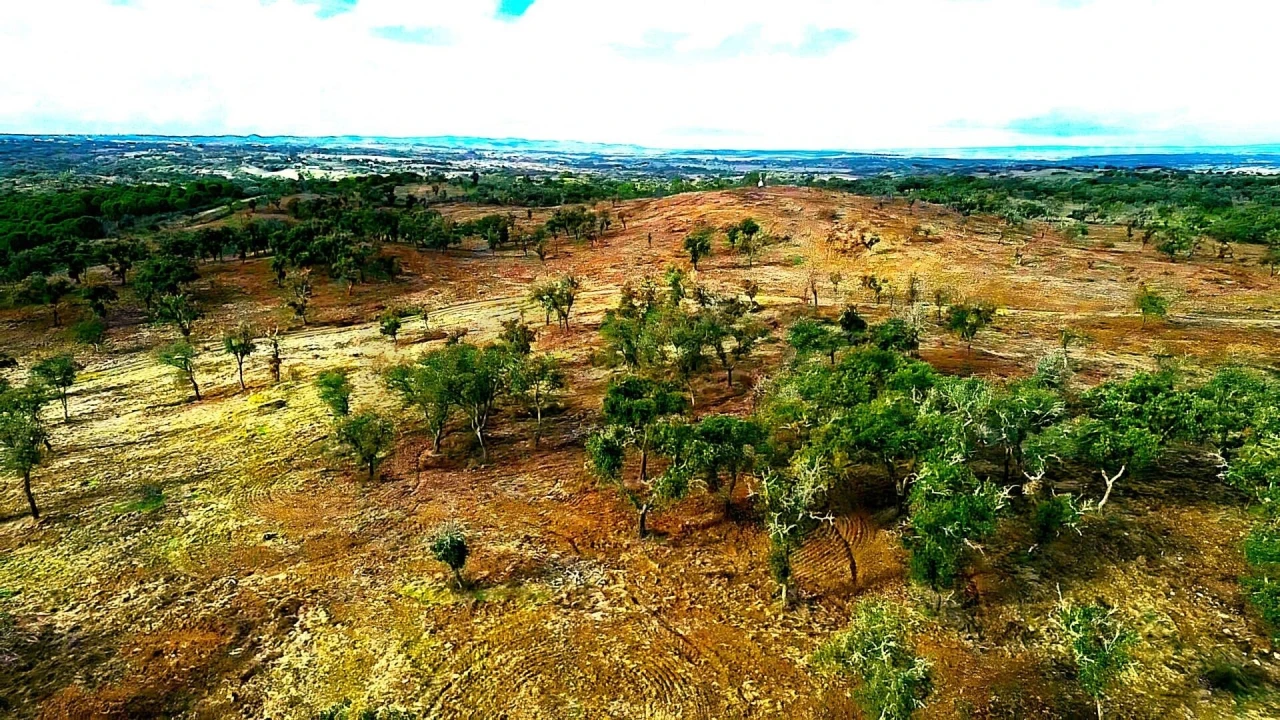 Terreno para Venda em Grândola e Santa Margarida da Serra Foto 21
