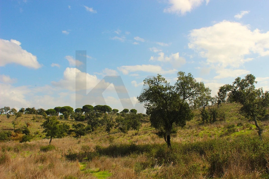 Terreno para Venda em Grândola e Santa Margarida da Serra Foto 36