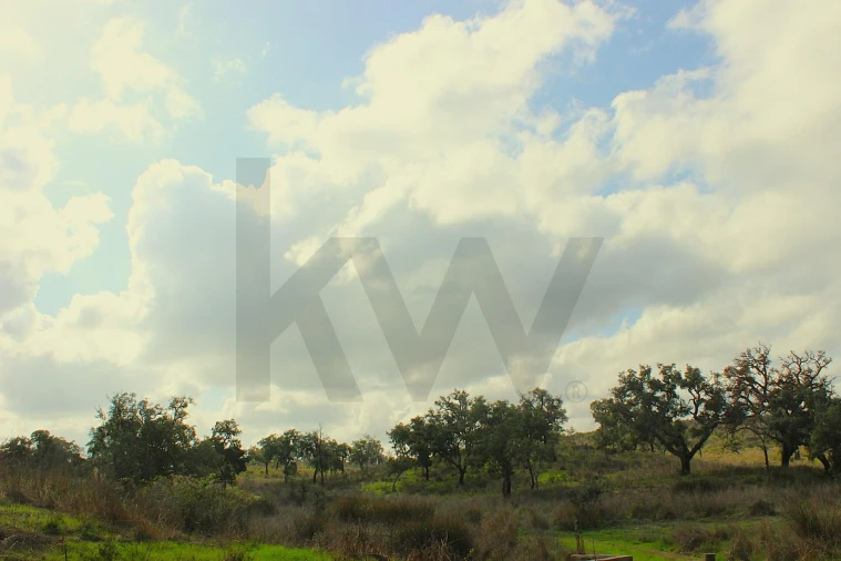 Terreno para Venda em Grândola e Santa Margarida da Serra Foto 34