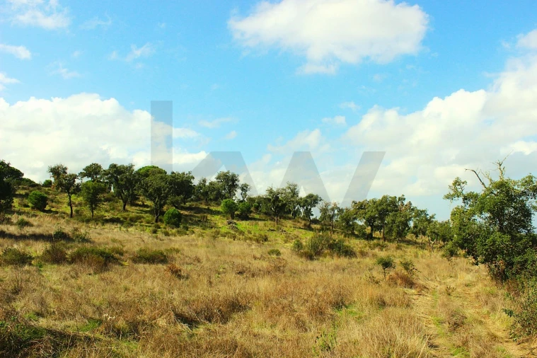 Terreno para Venda em Grândola e Santa Margarida da Serra Foto 33