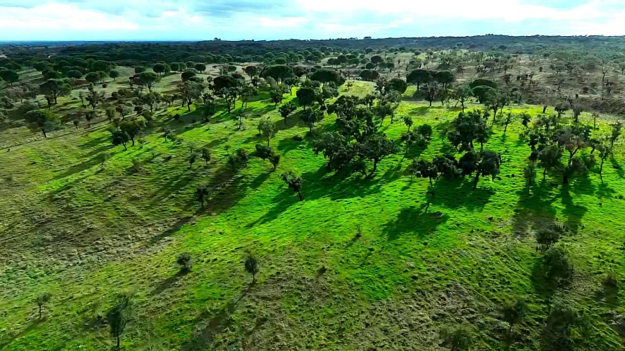 Terreno para Venda em Grândola e Santa Margarida da Serra Foto 14