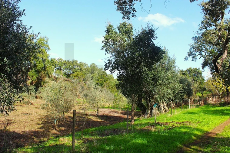 Terreno para Venda em Grândola e Santa Margarida da Serra Foto 9