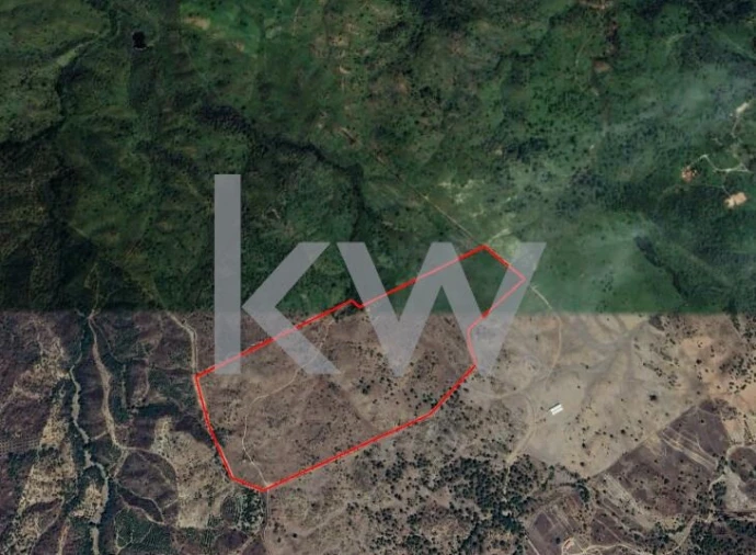 Terreno para Venda em Grândola e Santa Margarida da Serra Foto 40