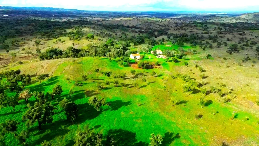 Terreno para Venda em Grândola e Santa Margarida da Serra Foto 13