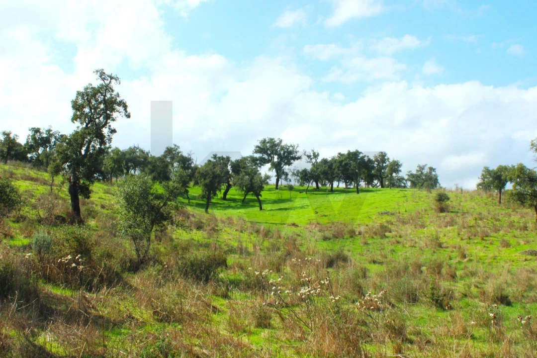 Terreno para Venda em Grândola e Santa Margarida da Serra Foto 7