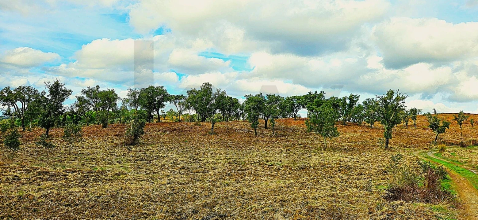 Terreno para Venda em Grândola e Santa Margarida da Serra Foto 2