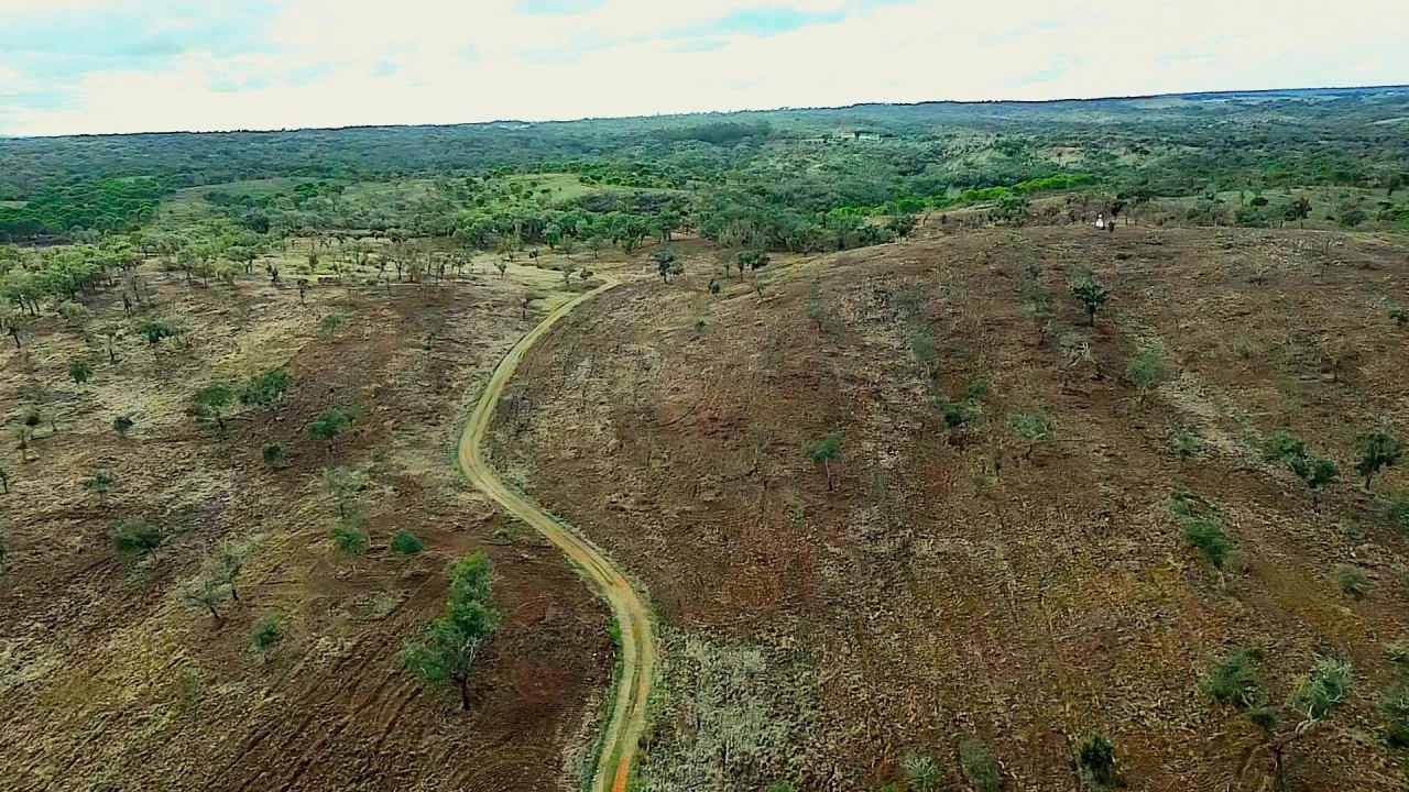 Terreno para Venda em Grândola e Santa Margarida da Serra Foto 38