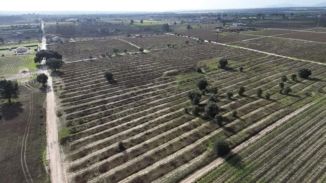 Terreno para Venda em Poceirão e Marateca Foto 7