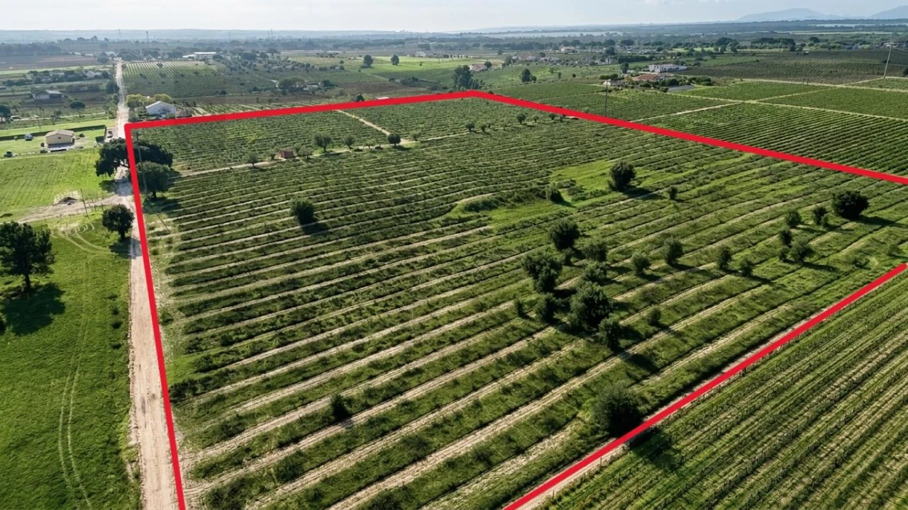 Terreno para Venda em Poceirão e Marateca Foto 5