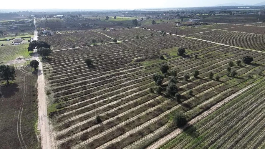 Terreno para Venda em Poceirão e Marateca Foto 7