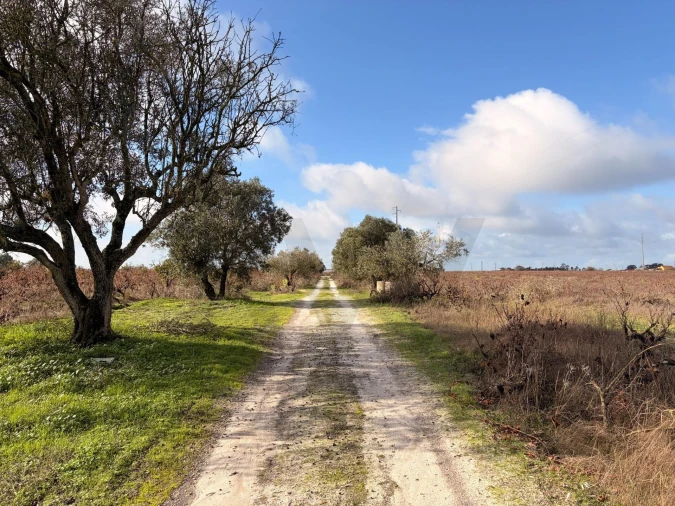 Terreno para Venda em Poceirão e Marateca Foto 9