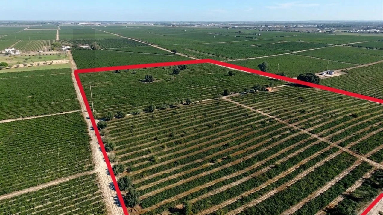 Terreno para Venda em Poceirão e Marateca Foto 4