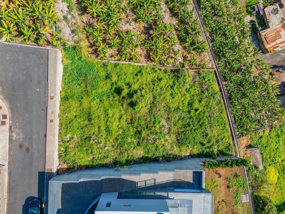 Terreno para Venda em São Martinho Foto 16