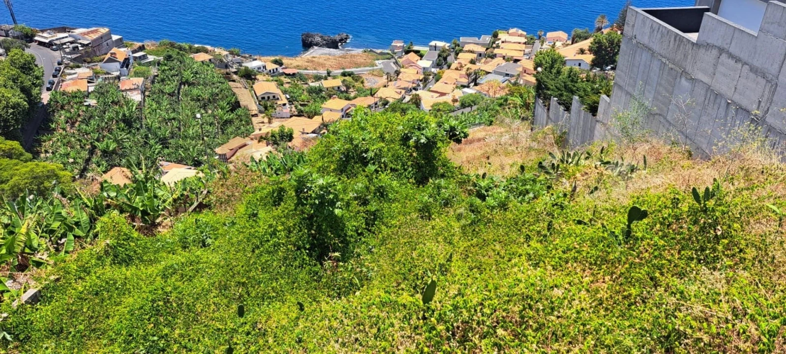 Terreno para Venda em São Martinho Foto 3