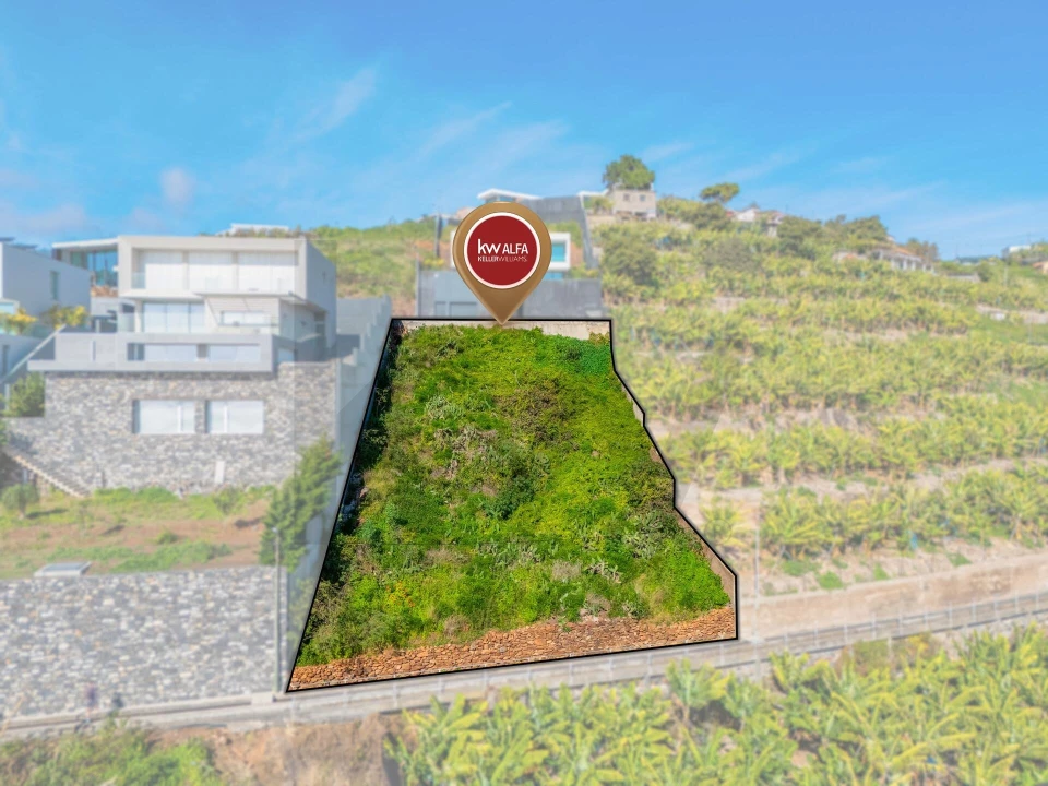 Terreno para Venda em São Martinho Foto 3