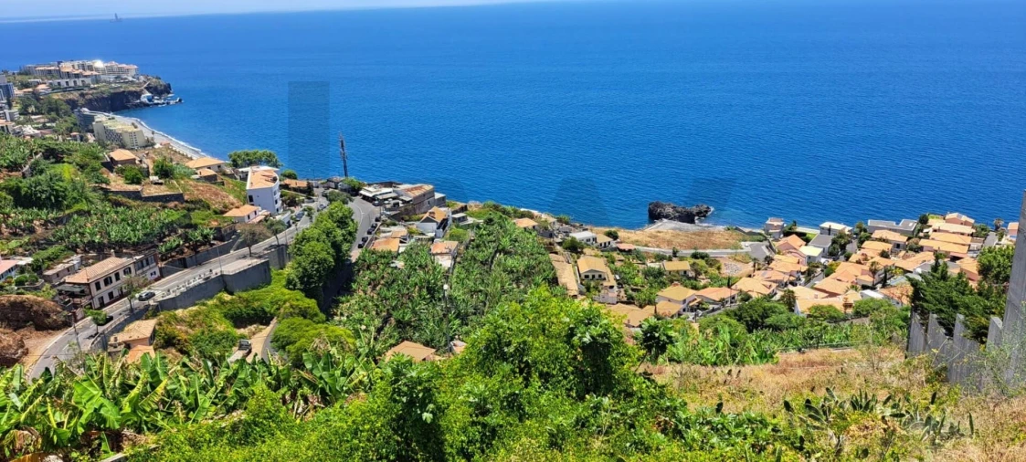 Terreno para Venda em São Martinho Foto 9