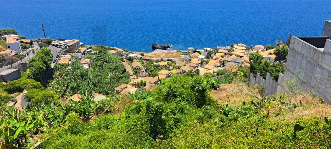 Terreno para Venda em São Martinho Foto 5