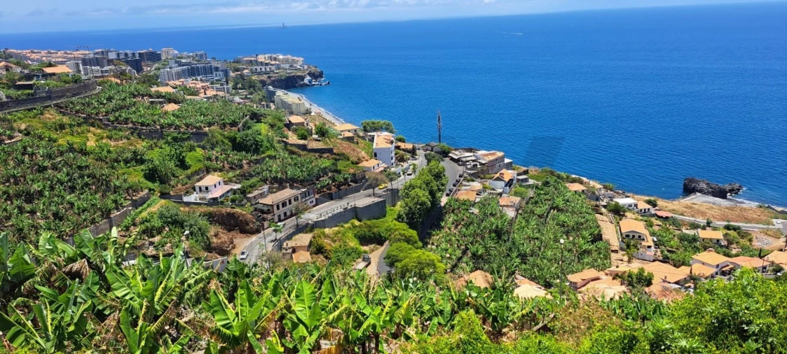 Terreno para Venda em São Martinho Foto 2