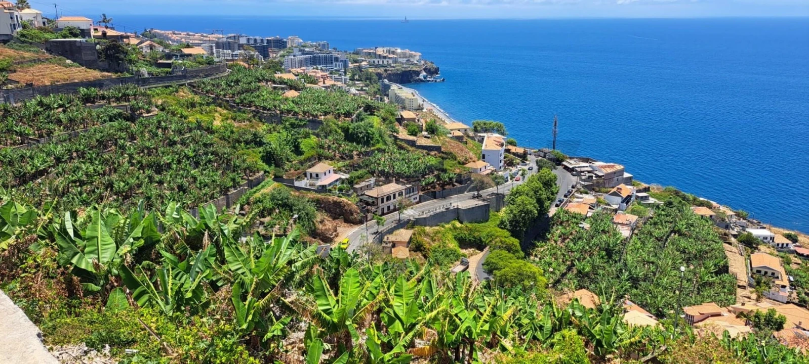 Terreno para Venda em São Martinho Foto 7