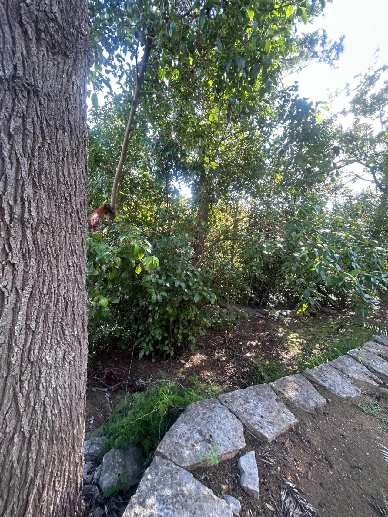 Moradia T6 para Venda em Cascais e Estoril Foto 18