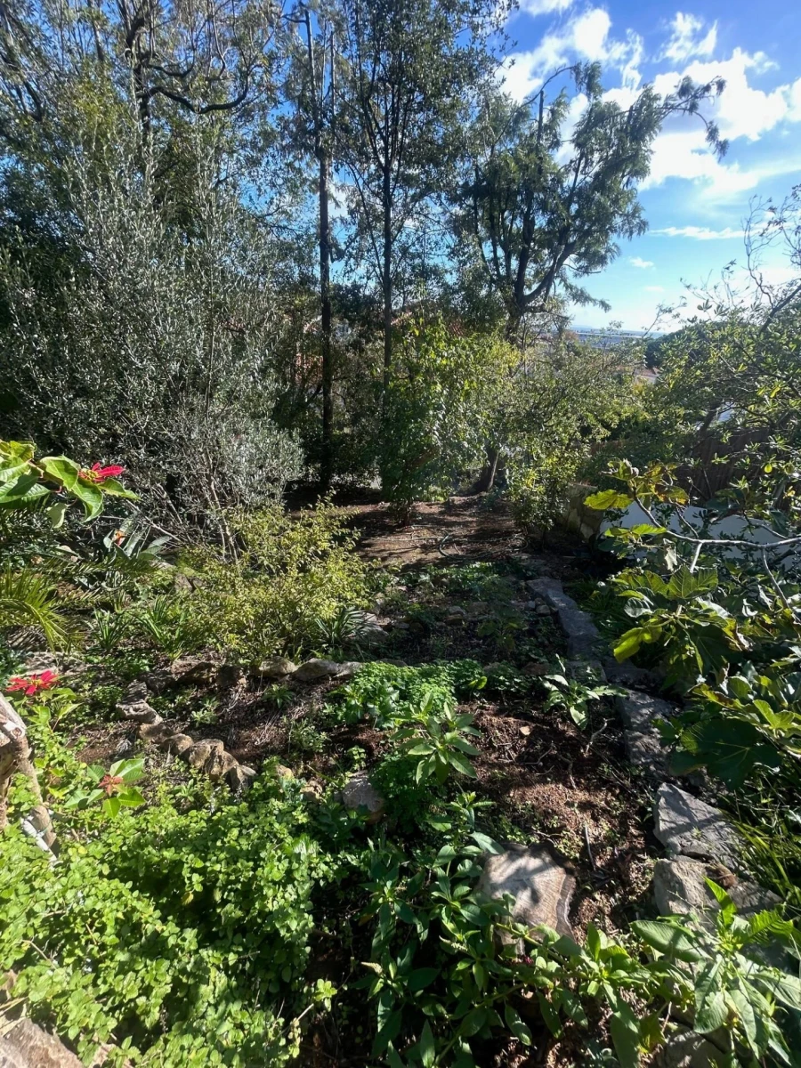 Moradia T6 para Venda em Cascais e Estoril Foto 23