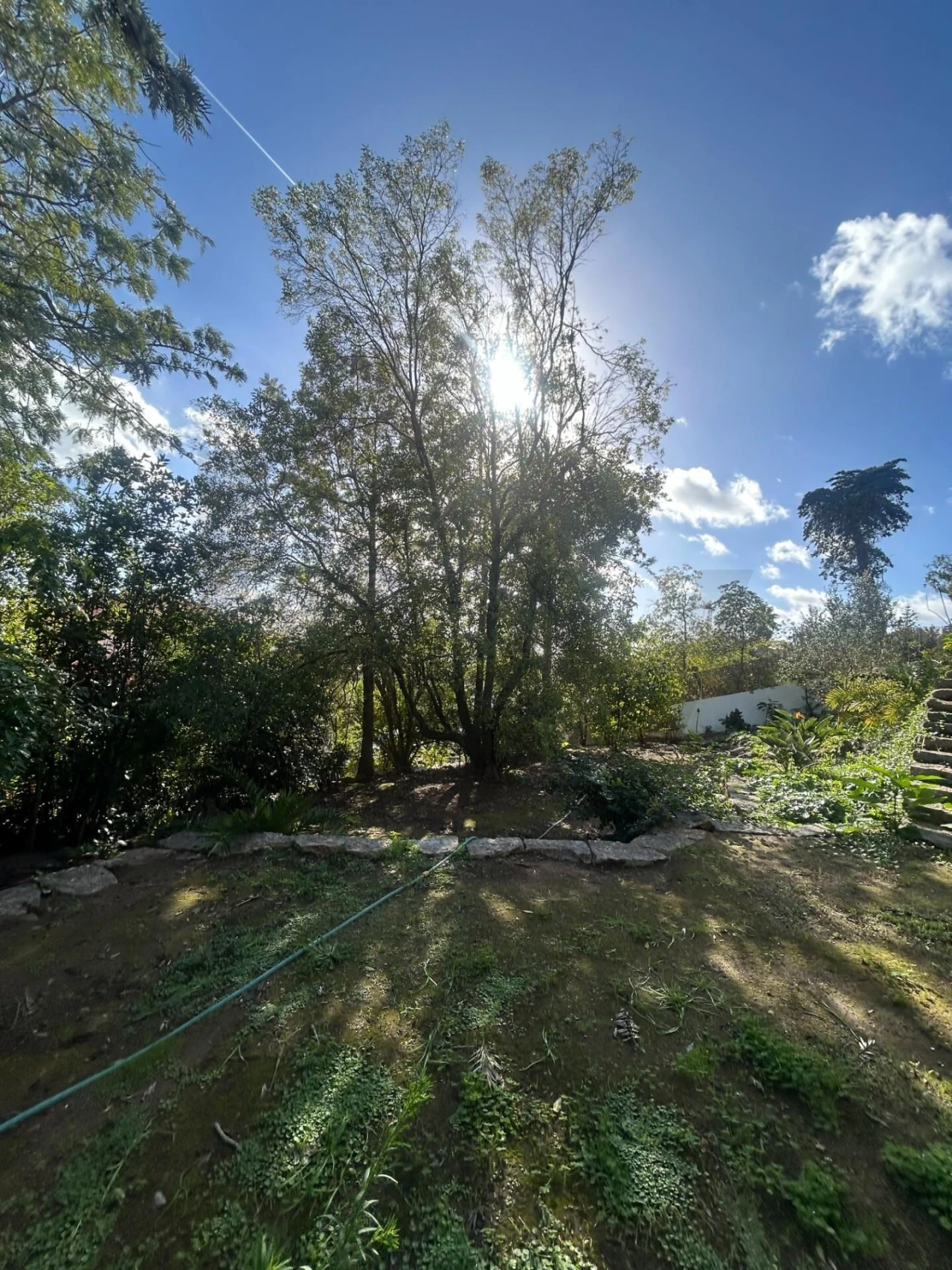 Moradia T6 para Venda em Cascais e Estoril Foto 19