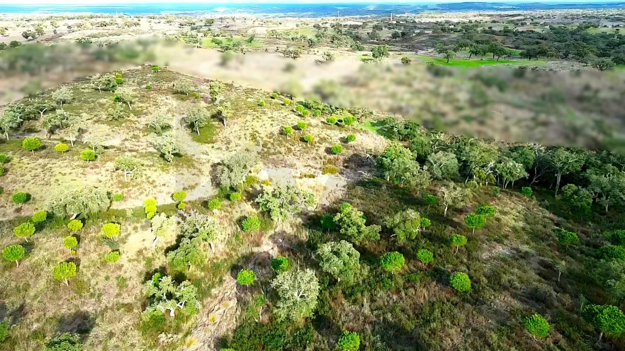 Terreno para Venda em Grândola e Santa Margarida da Serra Foto 25