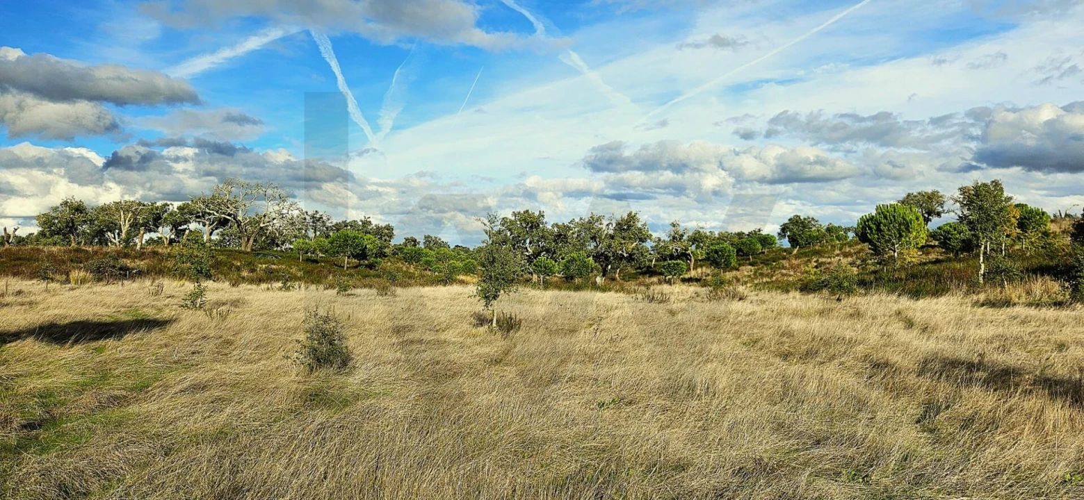 Terreno para Venda em Grândola e Santa Margarida da Serra Foto 19